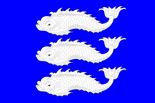 Муниципальный округ Васильевский